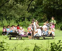 Vacaciones en el Botánico