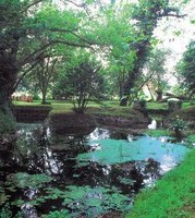 VIII ANIVERSARIO DEL JARDÍN BOTÁNICO ATLÁNTICO